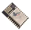 Module Wifi ESP8266 ESP-12S